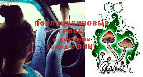 не бодяженный Алексин