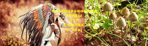 не бодяженный Алексин