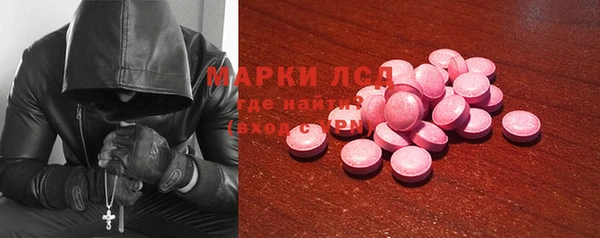 гидропоника Алзамай